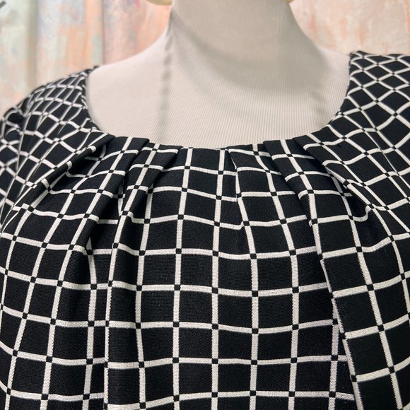 NWT๐Shelby & Palmer Dash - Dot Clean Lines Work to Weekend Dress with Pockets - Picture 3 of 16